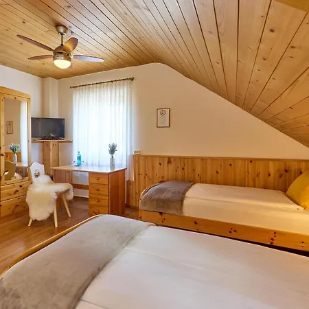 Airport-Hotel Fortuna-3